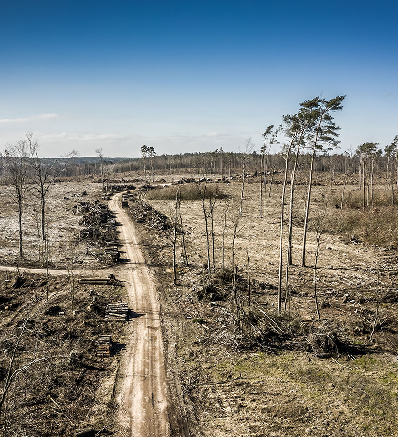 Erőforrás válság
