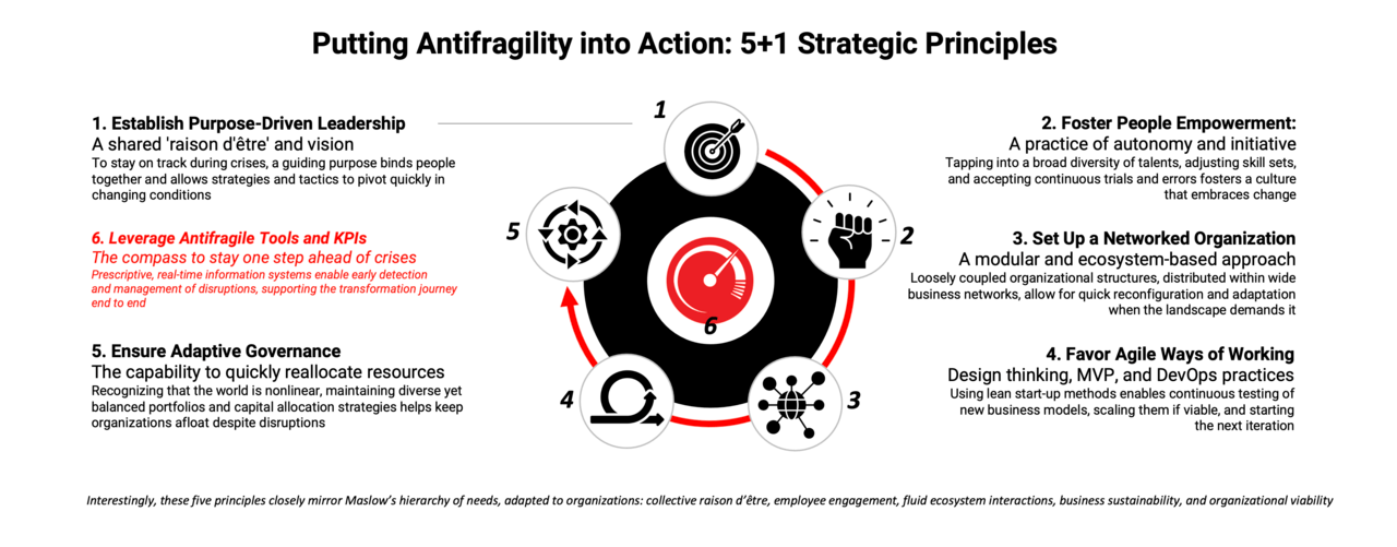 5+1 principles